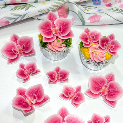 Edible wafer paper designs set Baby Shark 31 pcs.