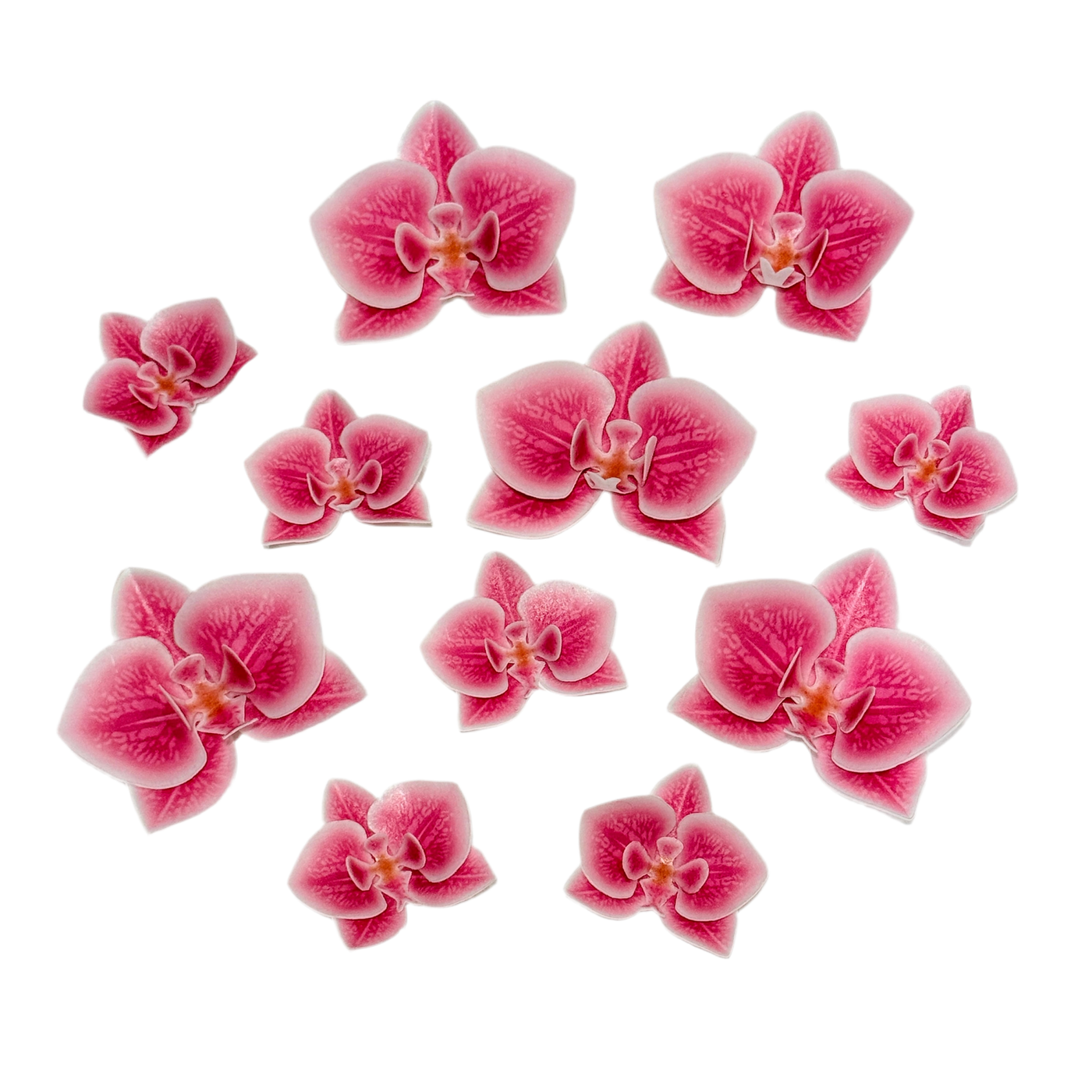 Edible wafer paper designs set Baby Shark 31 pcs.