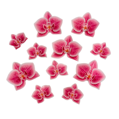 Edible wafer paper designs set Baby Shark 31 pcs.